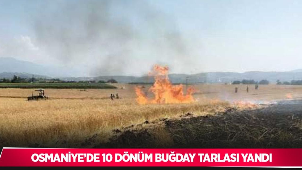 Osmaniye’de 10 dönüm buğday tarlası yandı