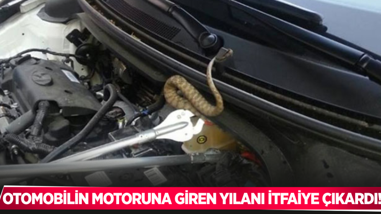 Otomobilin motoruna giren yılanı itfaiye çıkardı