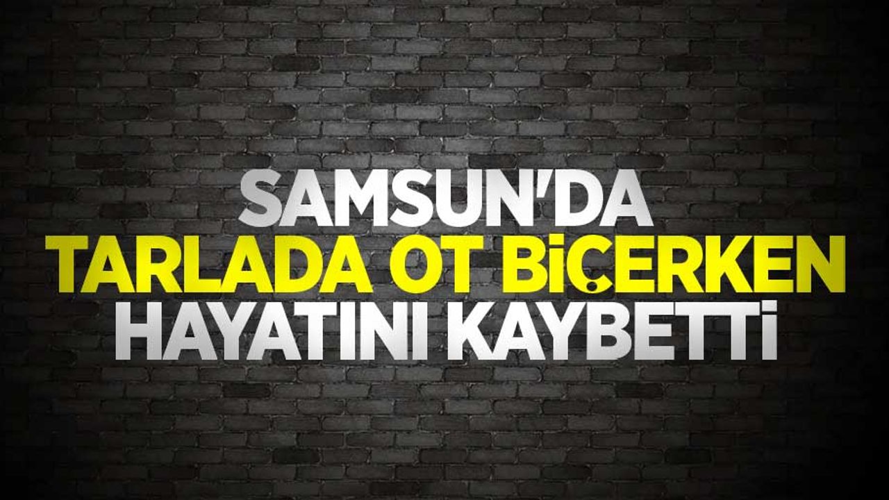 Samsun'da tarlada ot biçerken hayatını kaybetti