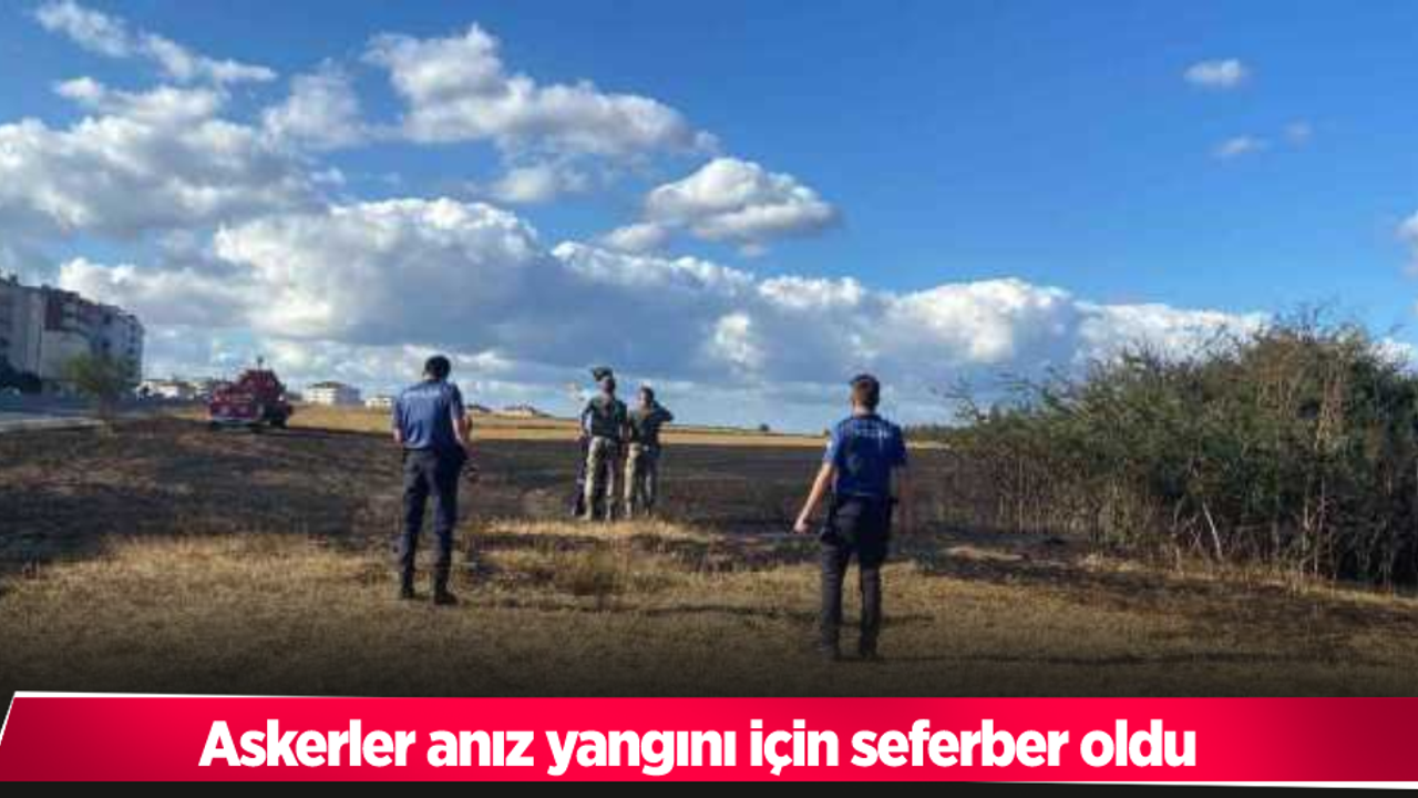 Askerler anız yangını için seferber oldu