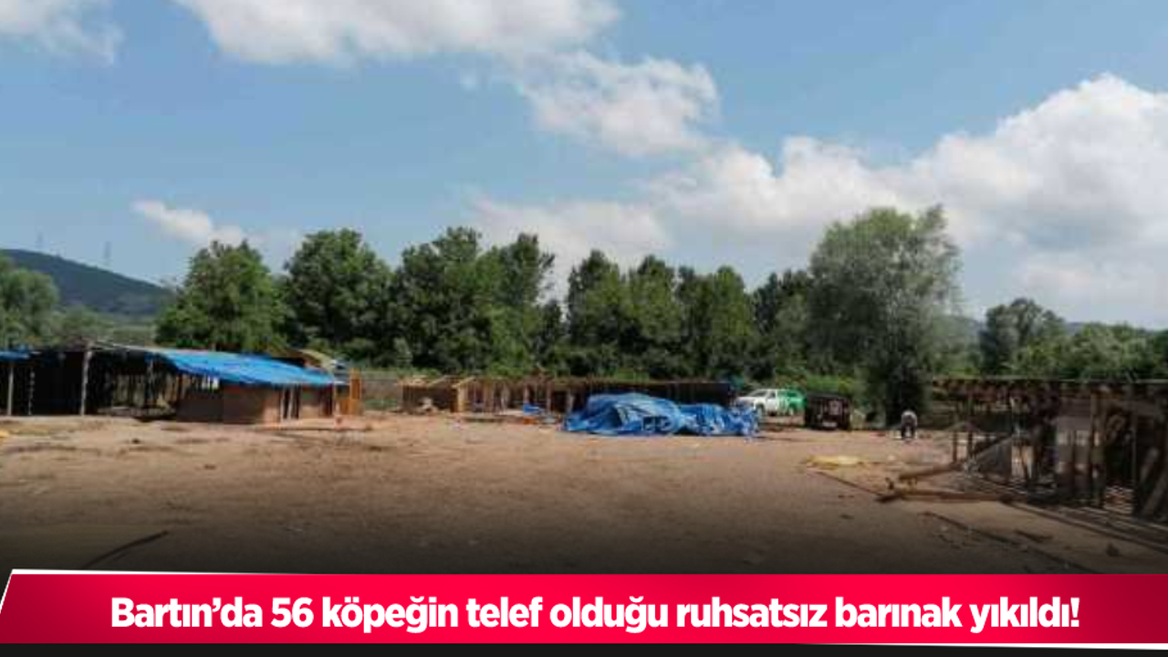 Bartın’da 56 köpeğin telef olduğu ruhsatsız barınak yıkıldı