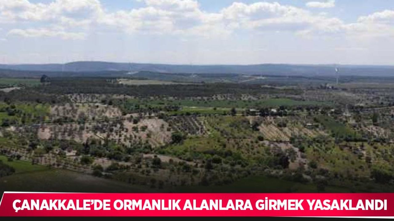 Çanakkale’de ormanlık alanlara girmek yasaklandı