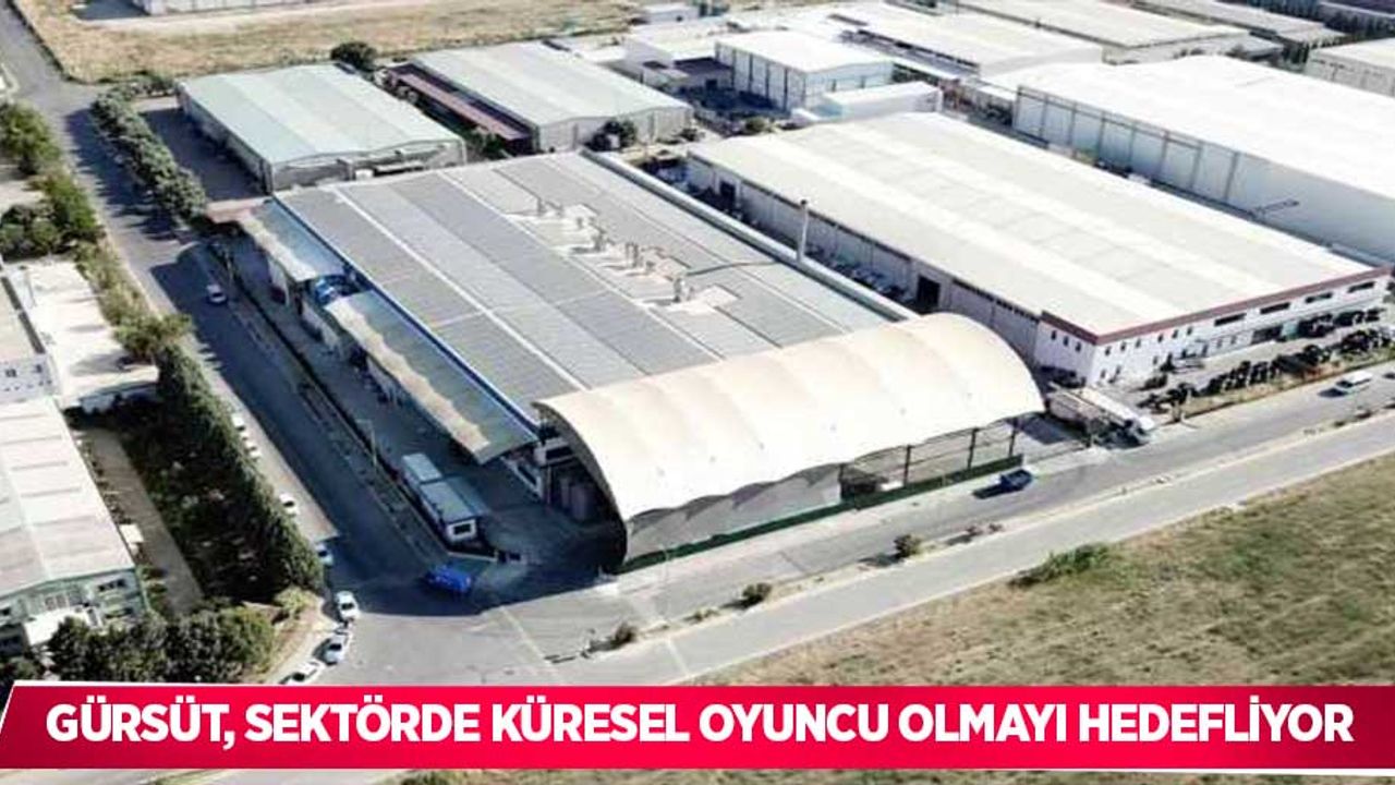Gürsüt, sektörde küresel oyuncu olmayı hedefliyor