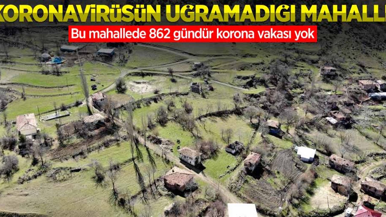 Koronavirüsün uğramadığı mahalle! 862 gündür korona vakası görülmedi