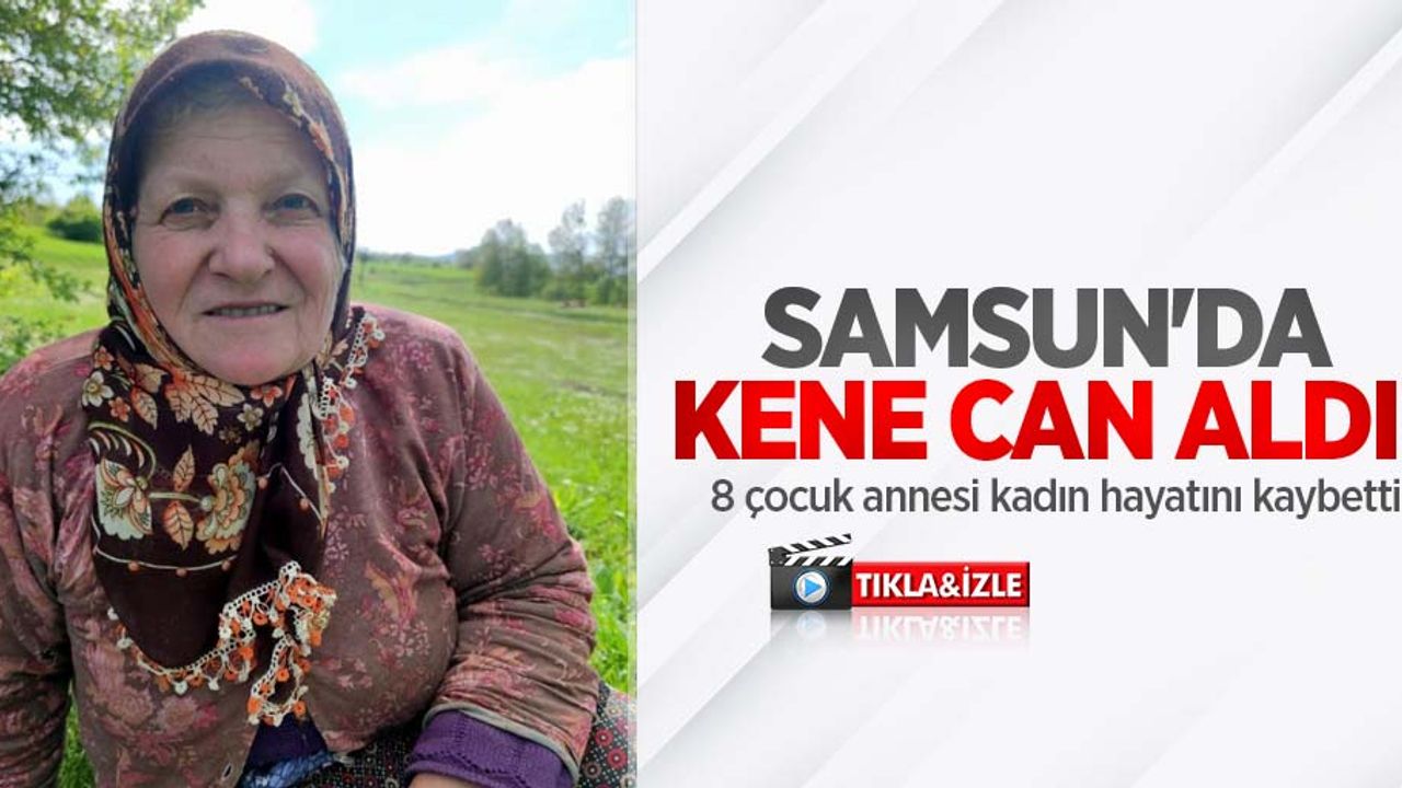Samsun'da kene can aldı! 8 çocuk annesi kadın hayatını kaybetti