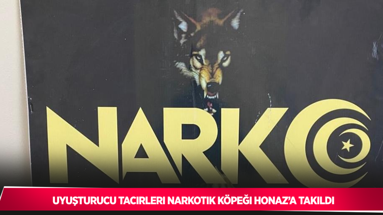 Uyuşturucu tacirleri narkotik köpeği Honaz’a takıldı