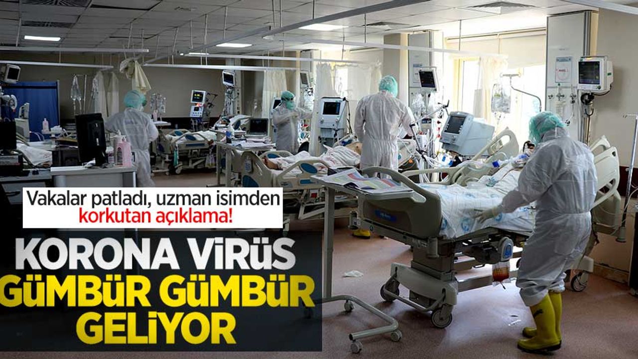Vakalar patladı, uzman isimden korkutan açıklama: Korona virüs gümbür gümbür geliyor