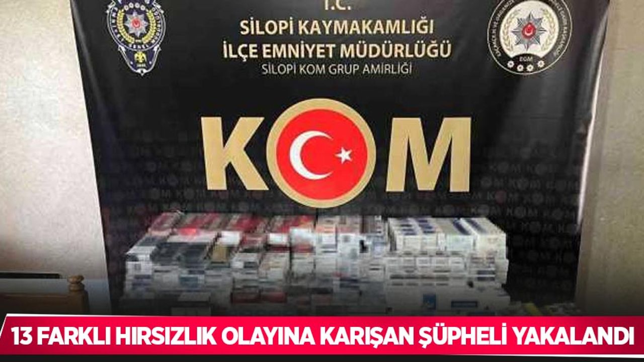 13 farklı hırsızlık olayına karışan şüpheli, 220 saat güvenlik kayıtlarının incelenmesiyle yakalandı