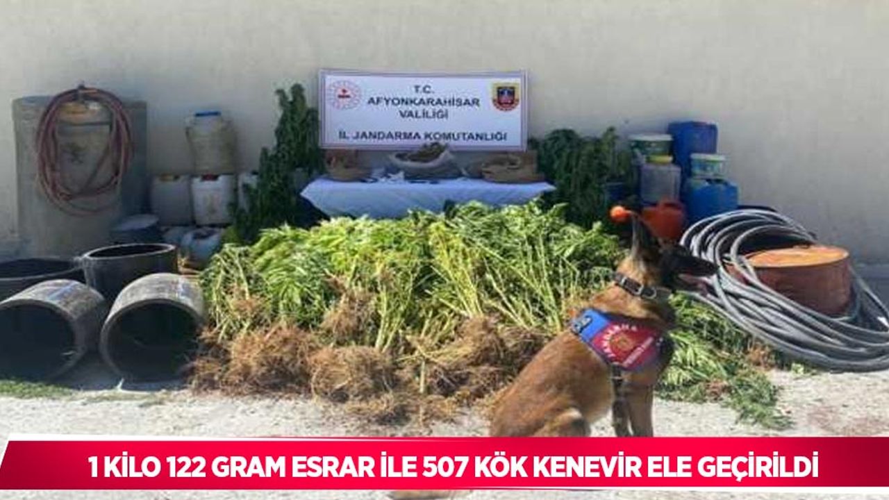 1 kilo 122 gram esrar ile 507 kök kenevir ele geçirildi