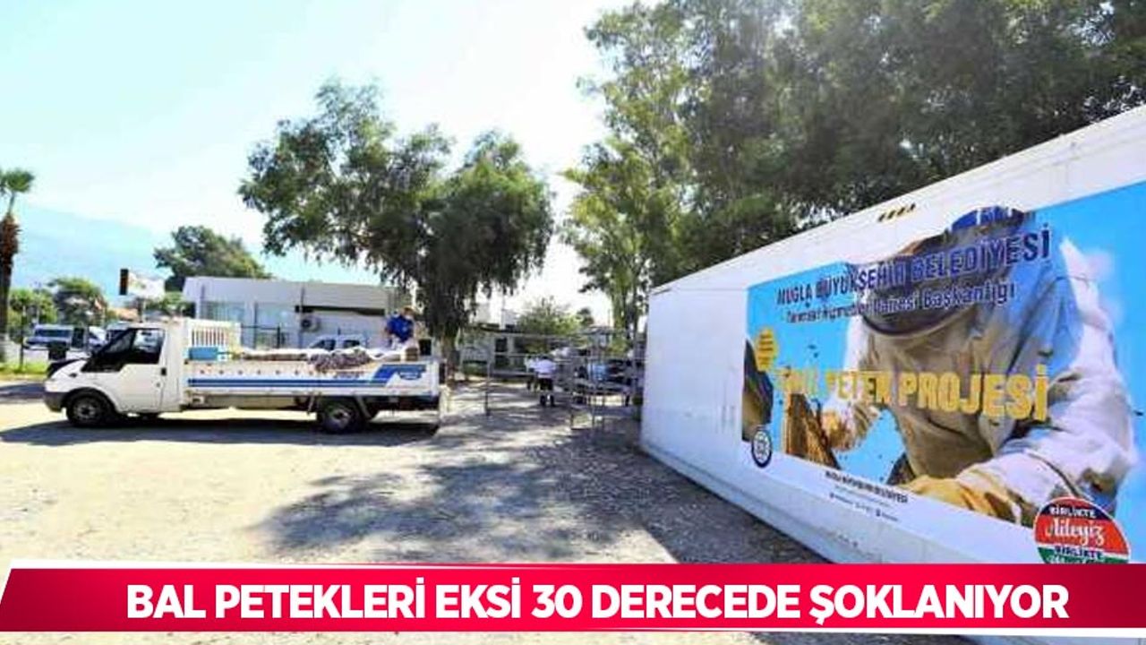 Bal petekleri eksi 30 derecede şoklanıyor
