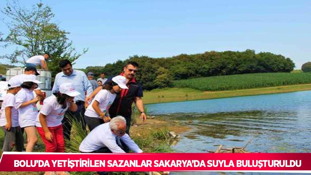 Bolu’da yetiştirilen sazanlar Sakarya’da suyla buluşturuldu