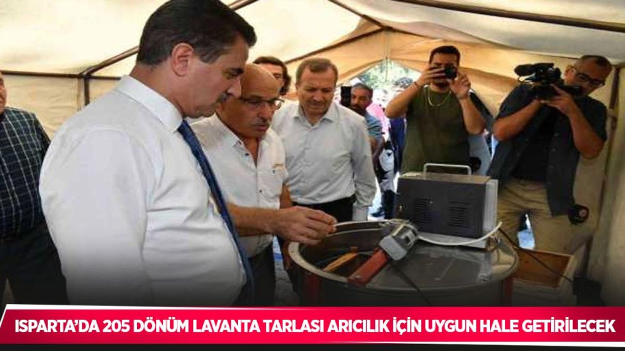 Isparta’da 205 dönüm lavanta tarlası arıcılık için uygun hale getirilecek