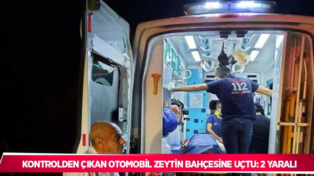 Kontrolden çıkan otomobil zeytin bahçesine uçtu: 2 yaralı