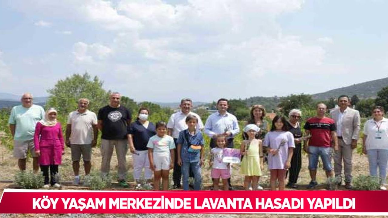 Köy yaşam merkezinde lavanta hasadı yapıldı