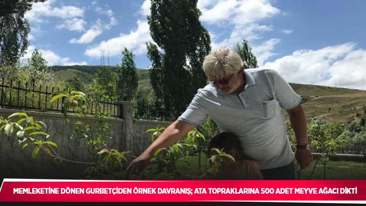 Memleketine dönen gurbetçiden örnek davranış; Ata topraklarına 500 adet meyve ağacı dikti