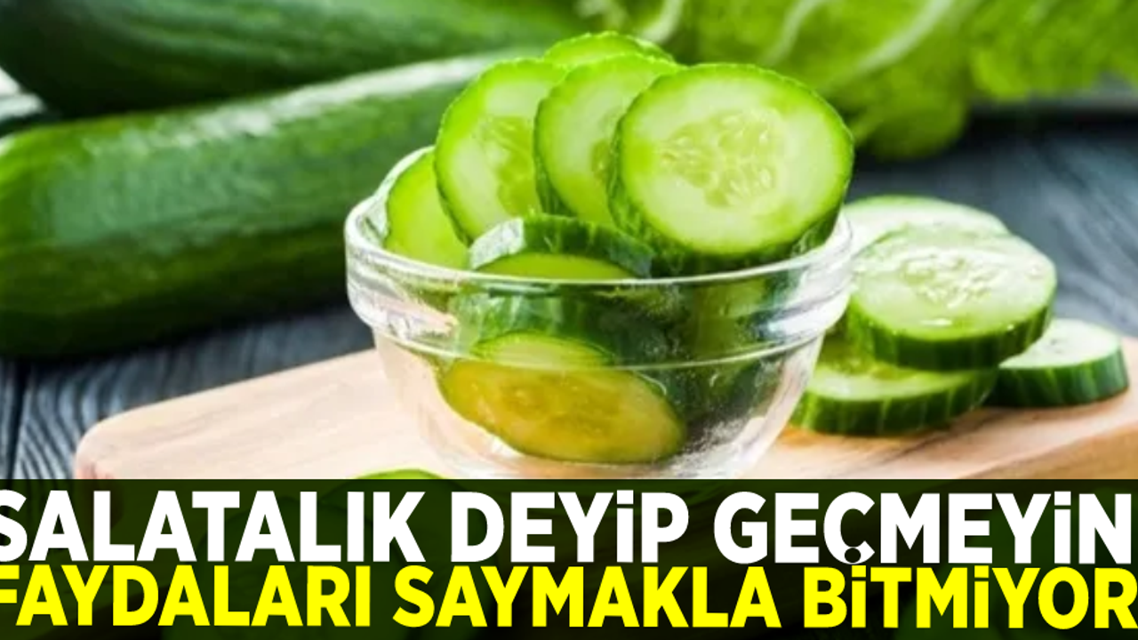 Salatalık Diyip Geçmeyin! Faydaları Saymakla Bitmiyor!