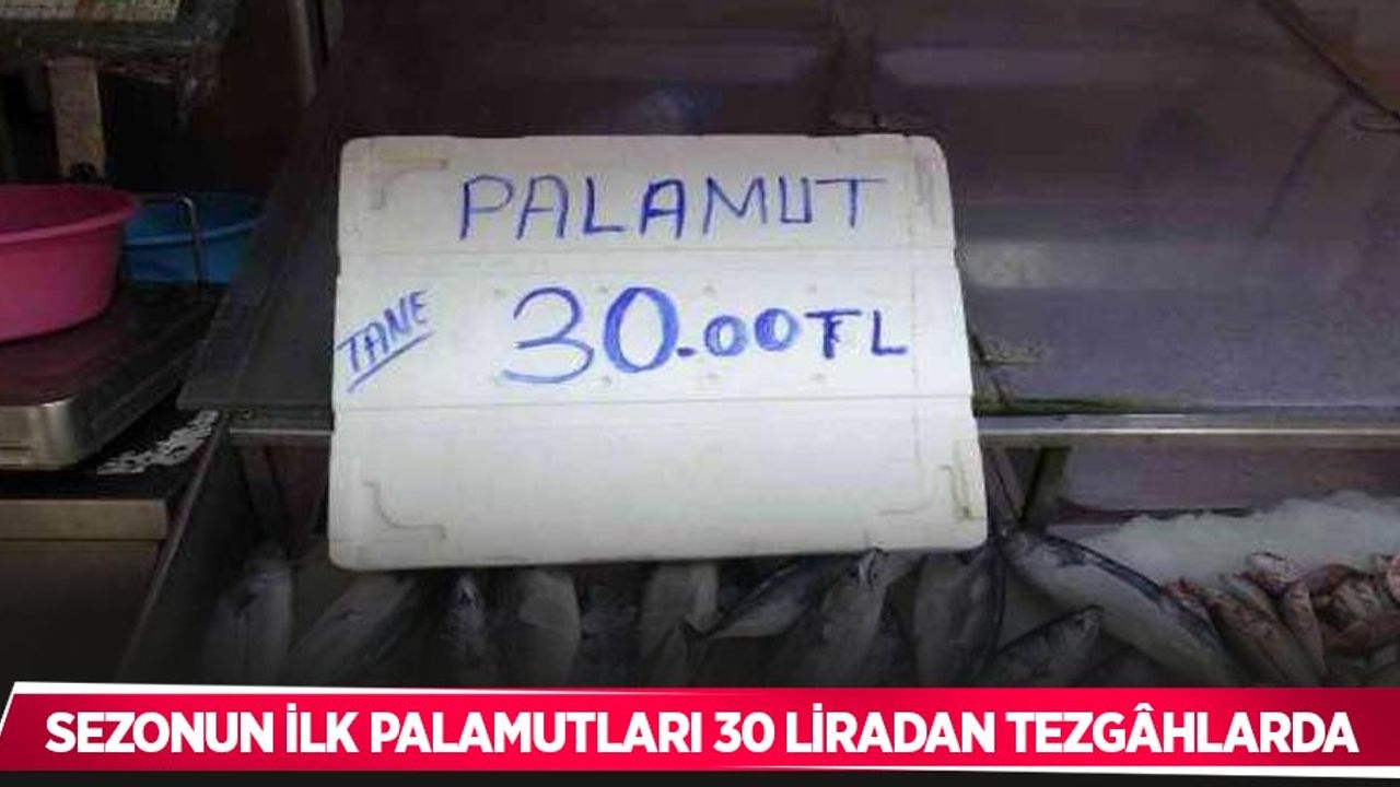 Sezonun ilk palamutları 30 liradan tezgâhlarda