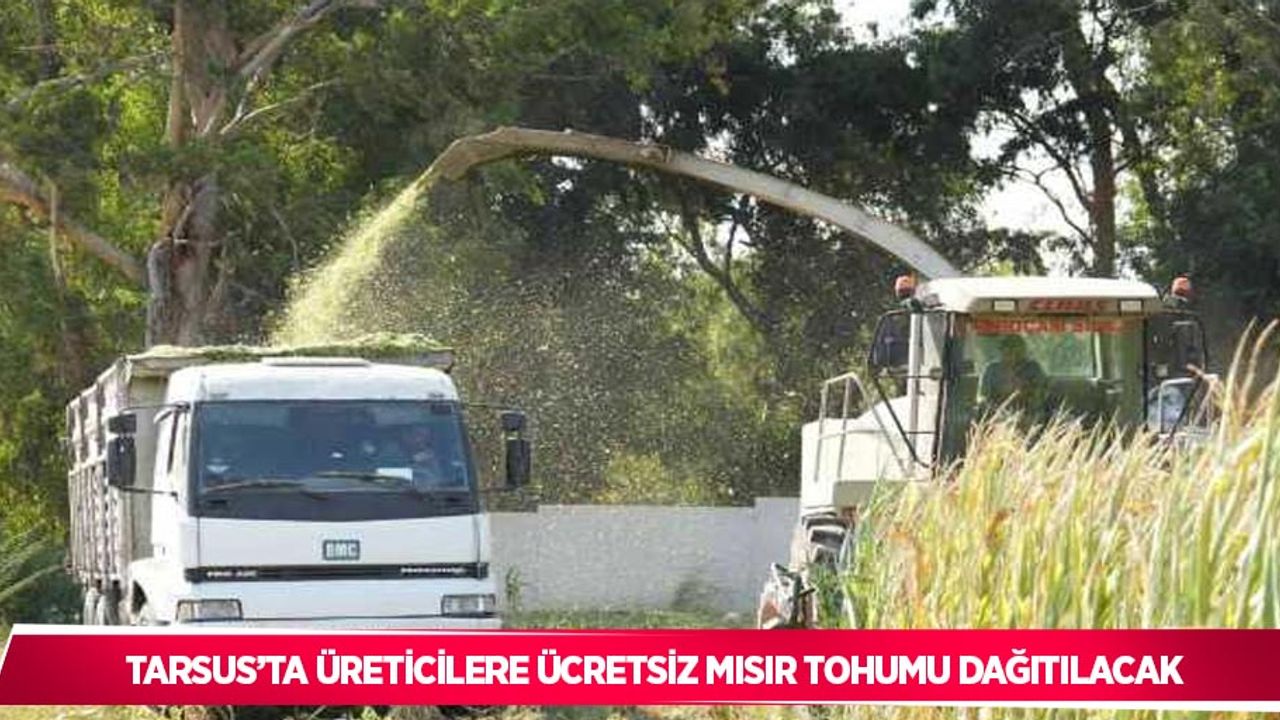 Tarsus’ta üreticilere ücretsiz mısır tohumu dağıtılacak