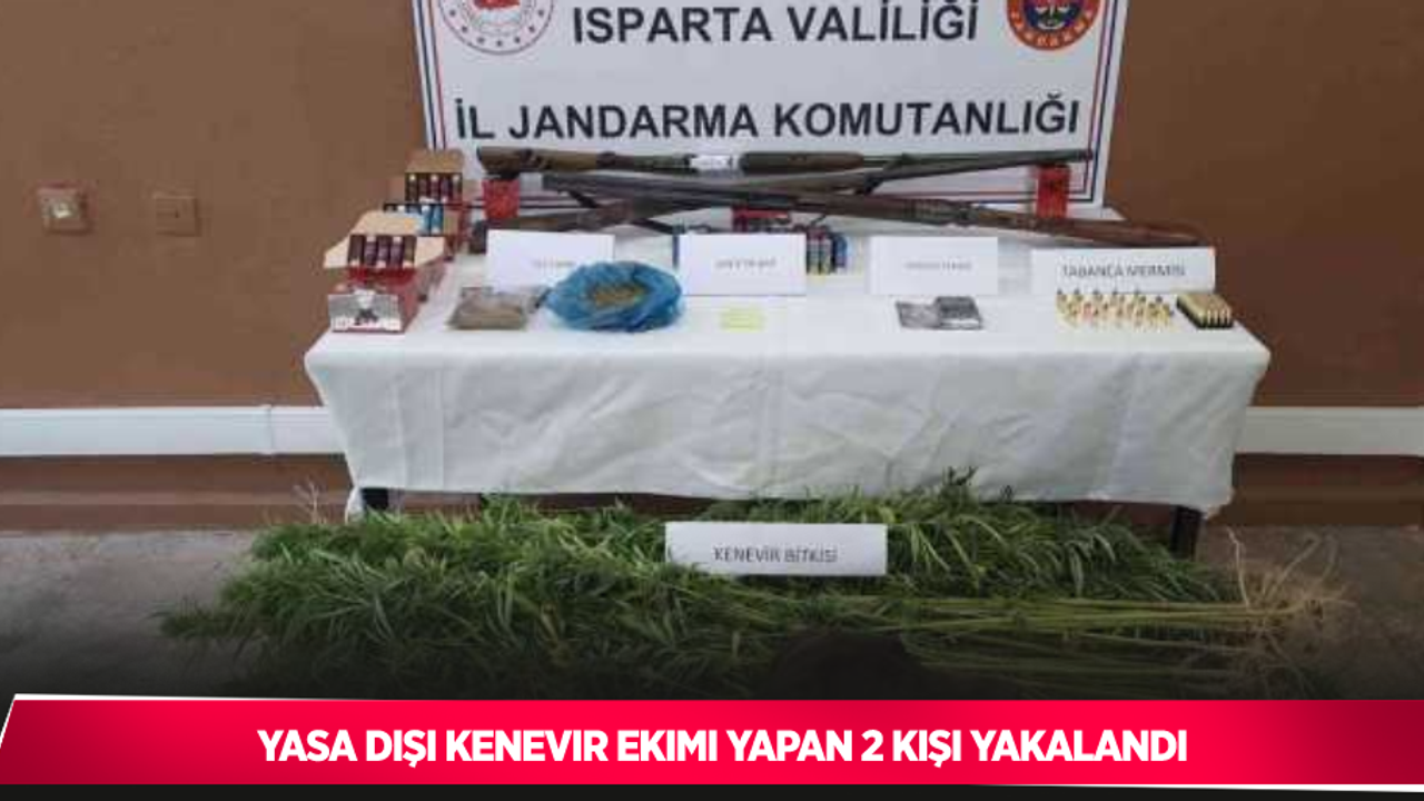 Yasa dışı kenevir ekimi yapan 2 kişi yakalandı