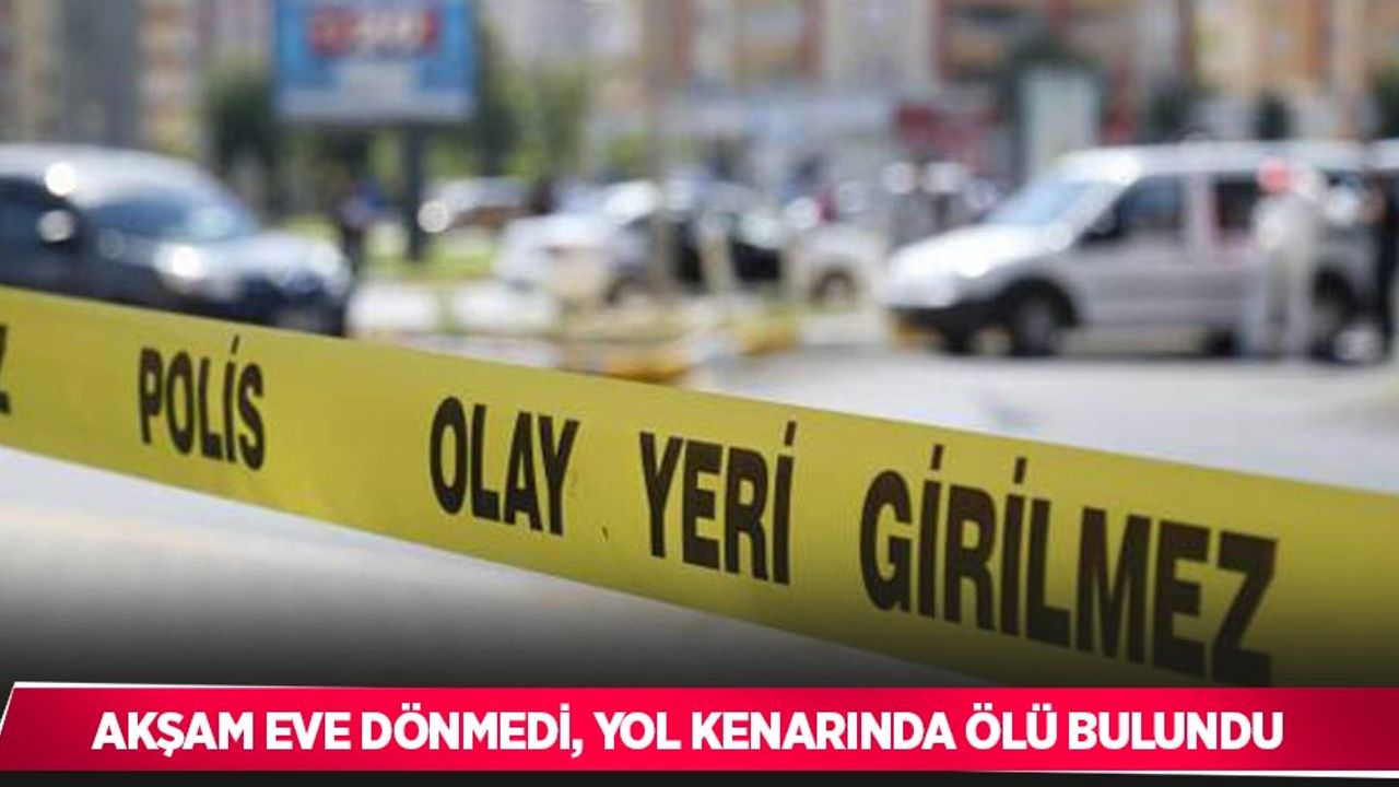 Akşam eve dönmedi, yol kenarında ölü bulundu