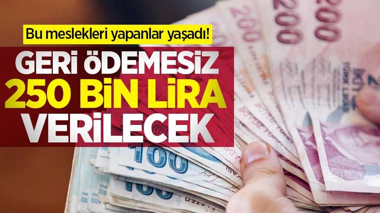 Bu meslekleri yapanlar yaşadı! Geri ödemesiz 250 bin lira verilecek