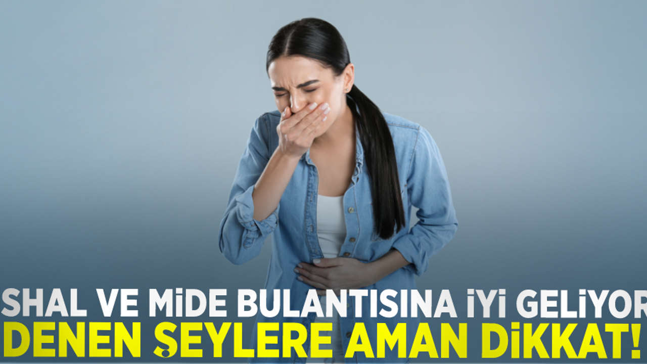 İshal ve Mide Bulantısı İçin İyi Geliyor Denen Gıdalar Daha Hasta Edebilir!