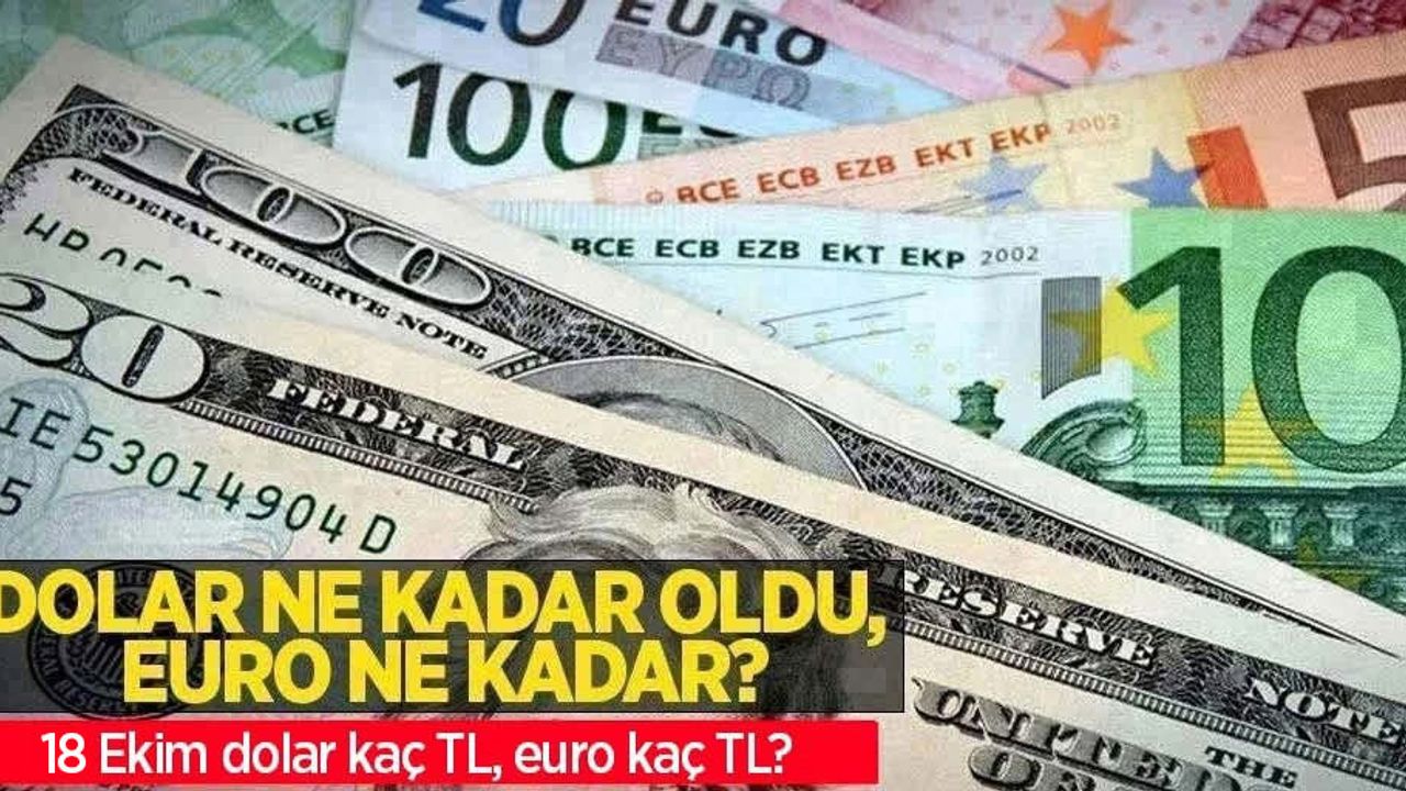 18 Ekim Salı dolar ne kadar oldu, euro ne kadar? 18 Ekim 2022 Salı dolar kaç TL, euro kaç TL?