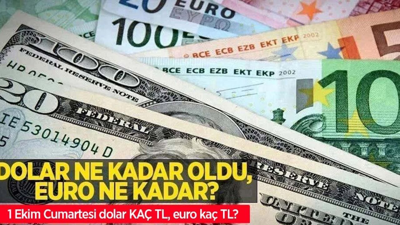 1 Ekim Cumartesi dolar ne kadar oldu, euro ne kadar? 1 Ekim 2022 Cumartesi dolar kaç TL, euro kaç TL?