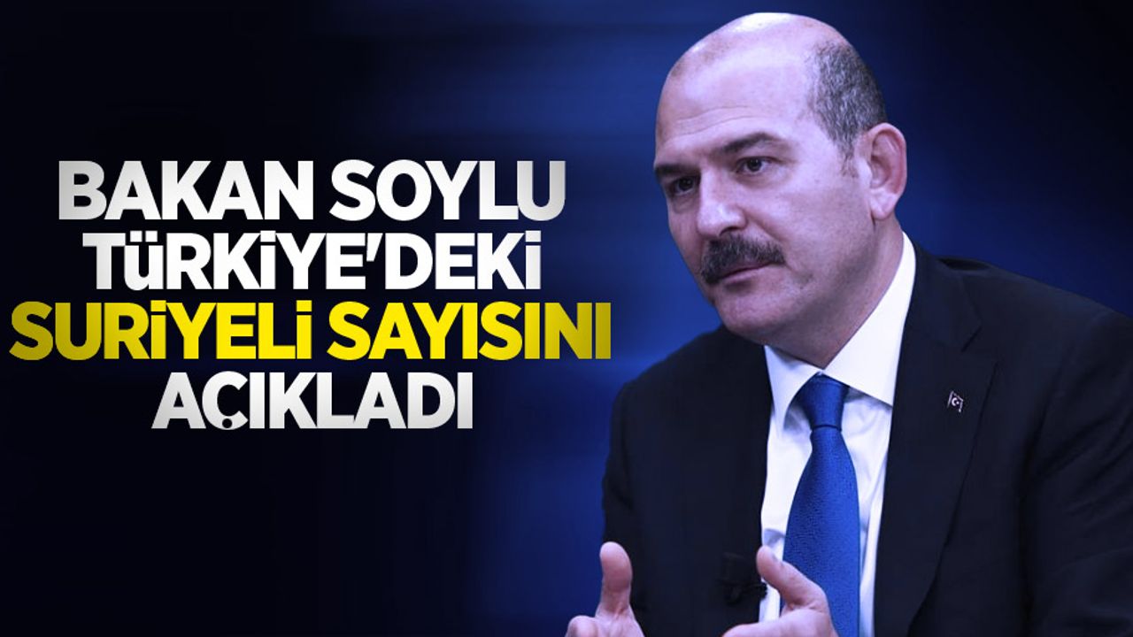Bakan Soylu Türkiye'deki Suriyeli sayısını açıkladı