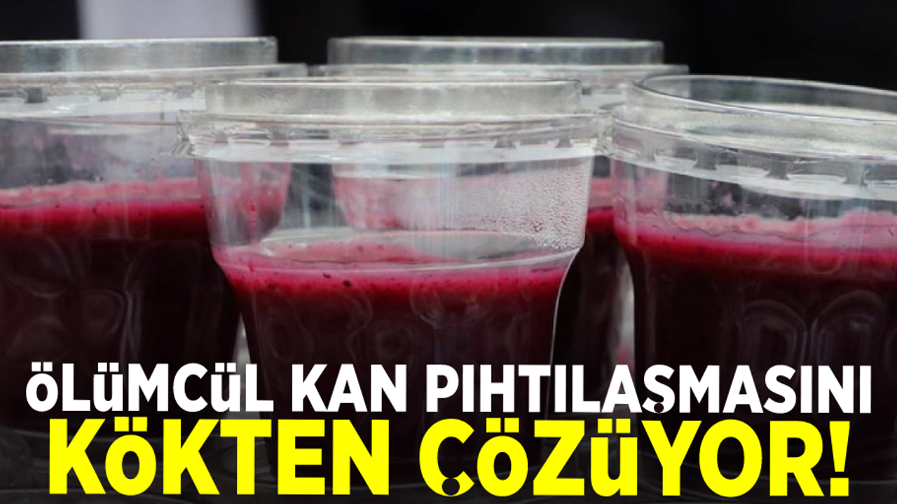 Kesinlikle Tüketin! Kan Pıhtılaşmasını Kökten Çözüyor!