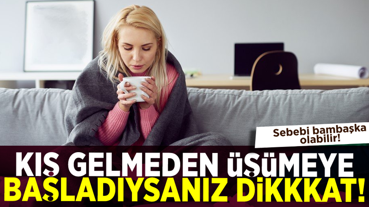Kış Gelmeden Üşümeye Başladıysanız Dikkat! Sebebi Bambaşka Olabilir!