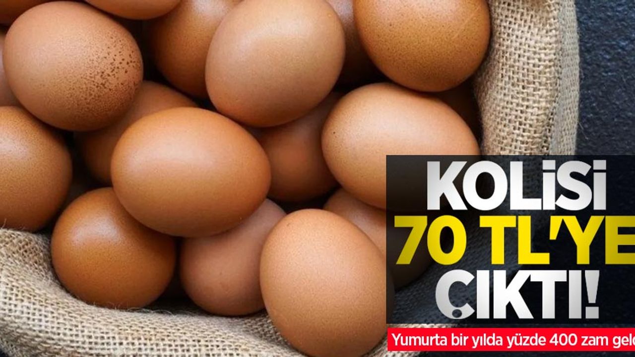 Kolisi 70 TL'ye çıktı! Yumurta bir yılda yüzde 400 zam geldi