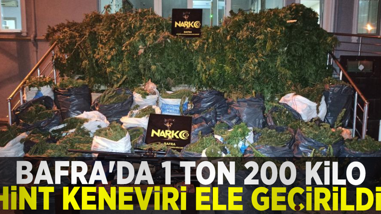 Samsun'da 1 Ton 200 Kilo Hint Keneviri Ele Geçirildi!