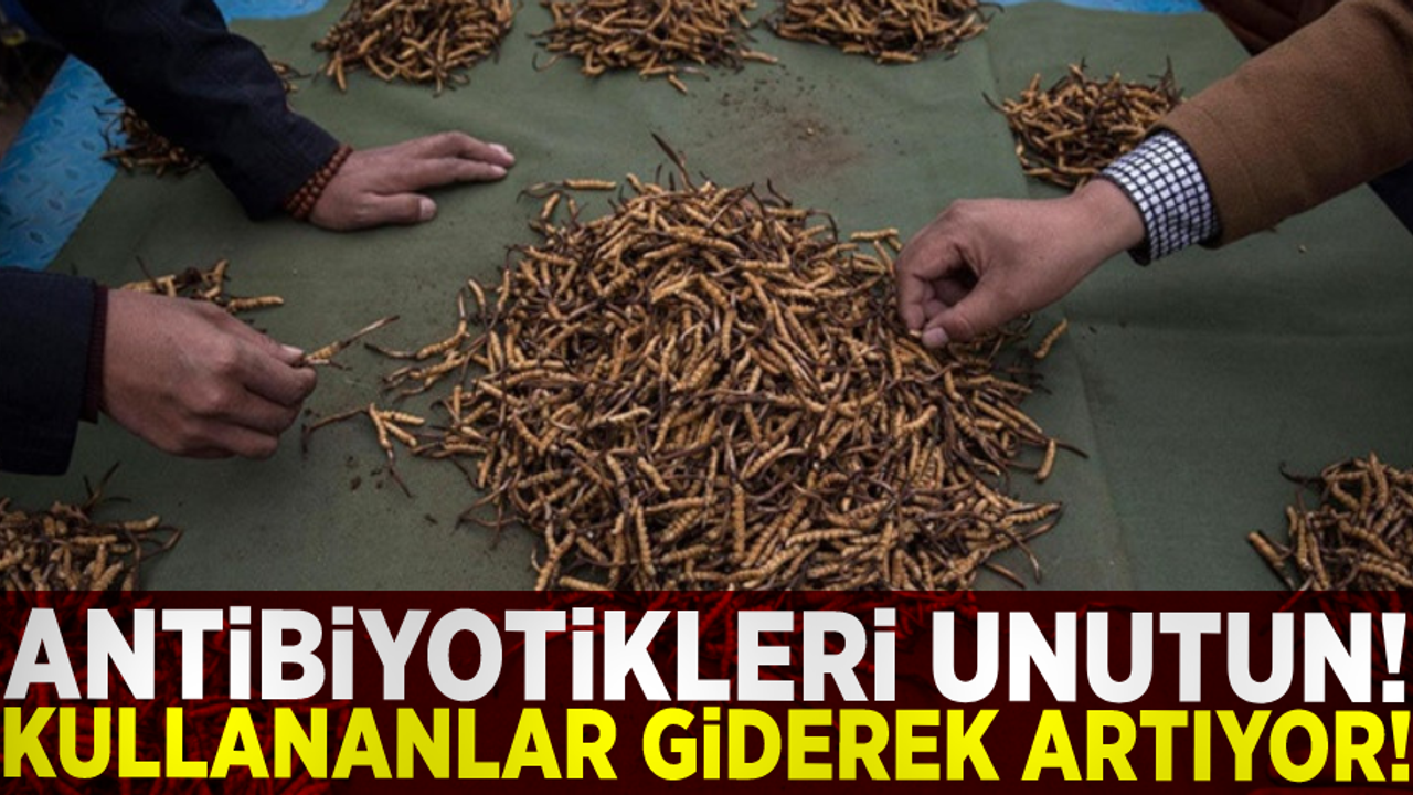 Bildiğiniz Bütün Antibiyotikleri Unutun! Son Yıllarda Kullanımı Artmaya Başladı!