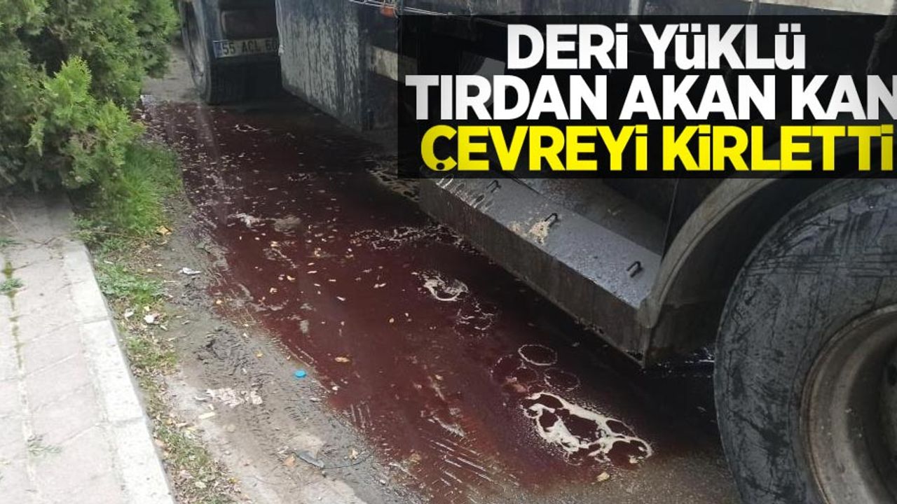 Deri yüklü tırdan akan kan çevreyi kirletti