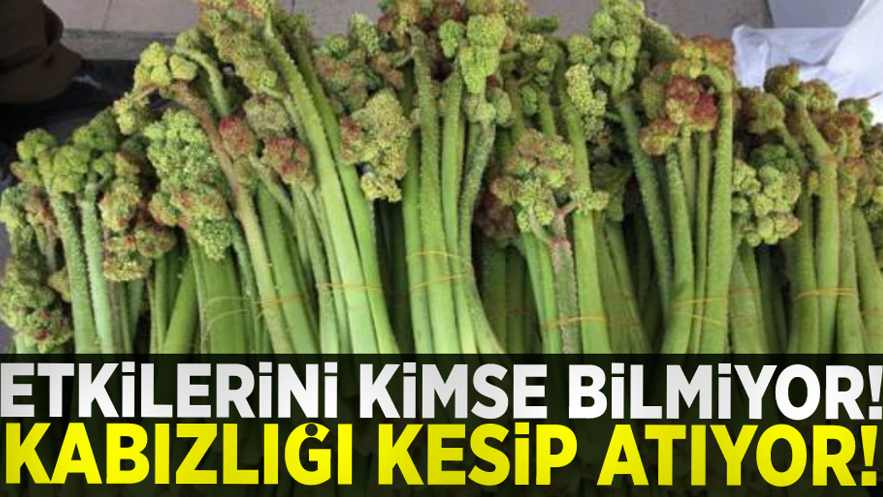 Etkilerini Kimse Bilmiyor! Kabızlığı Kesip Atıyor!