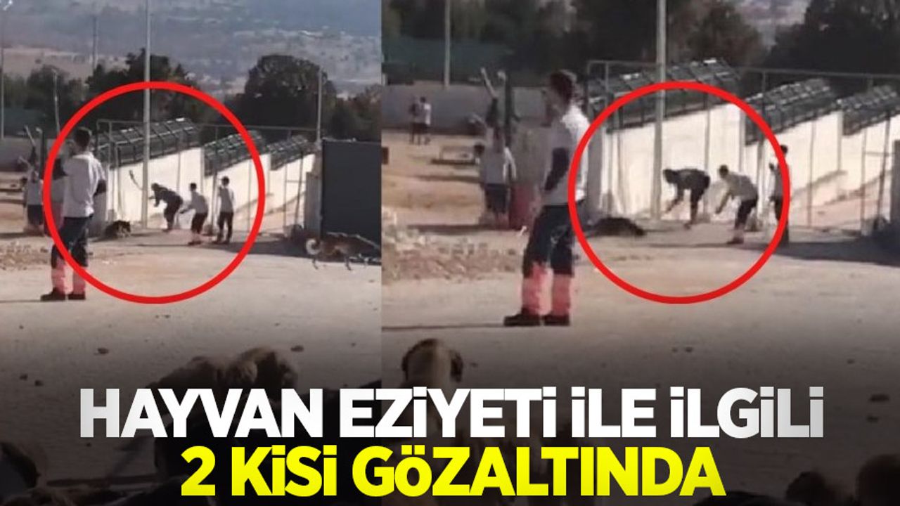 Hayvan eziyeti ile ilgili 2 kişi gözaltında