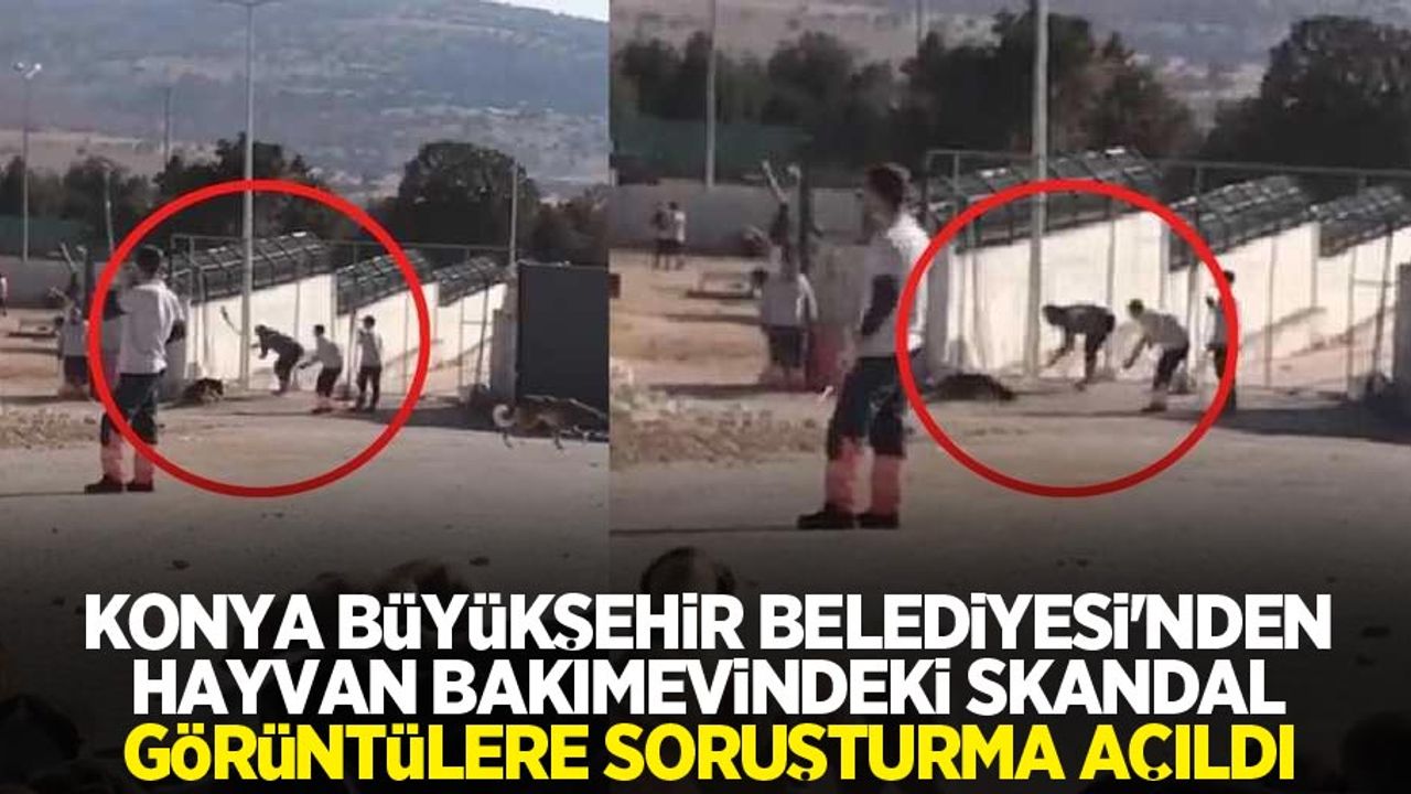 Konya Büyükşehir Belediyesi'nden hayvan bakımevindeki skandal görüntülere soruşturma açıldı