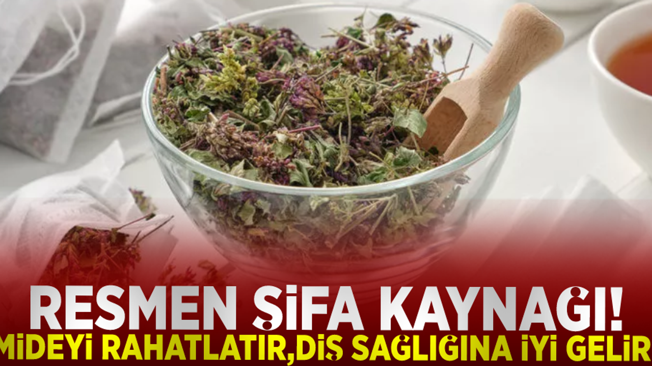 Resmen Şifa Kaynağı! Mideyi Rahatlatır, Diş Sağlığına İyi Gelir!