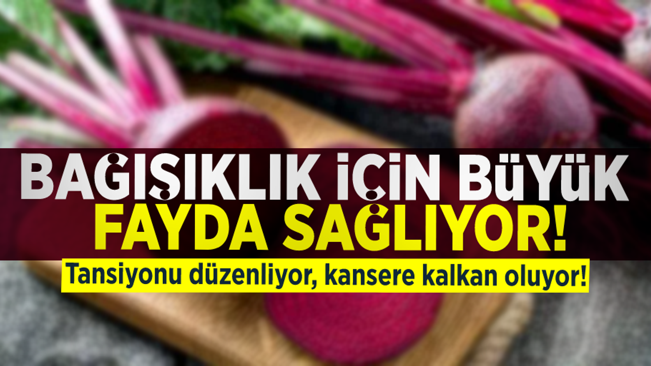 Bağışıklık İçin Birebir! Faydaları Saymakla Bitmiyor!