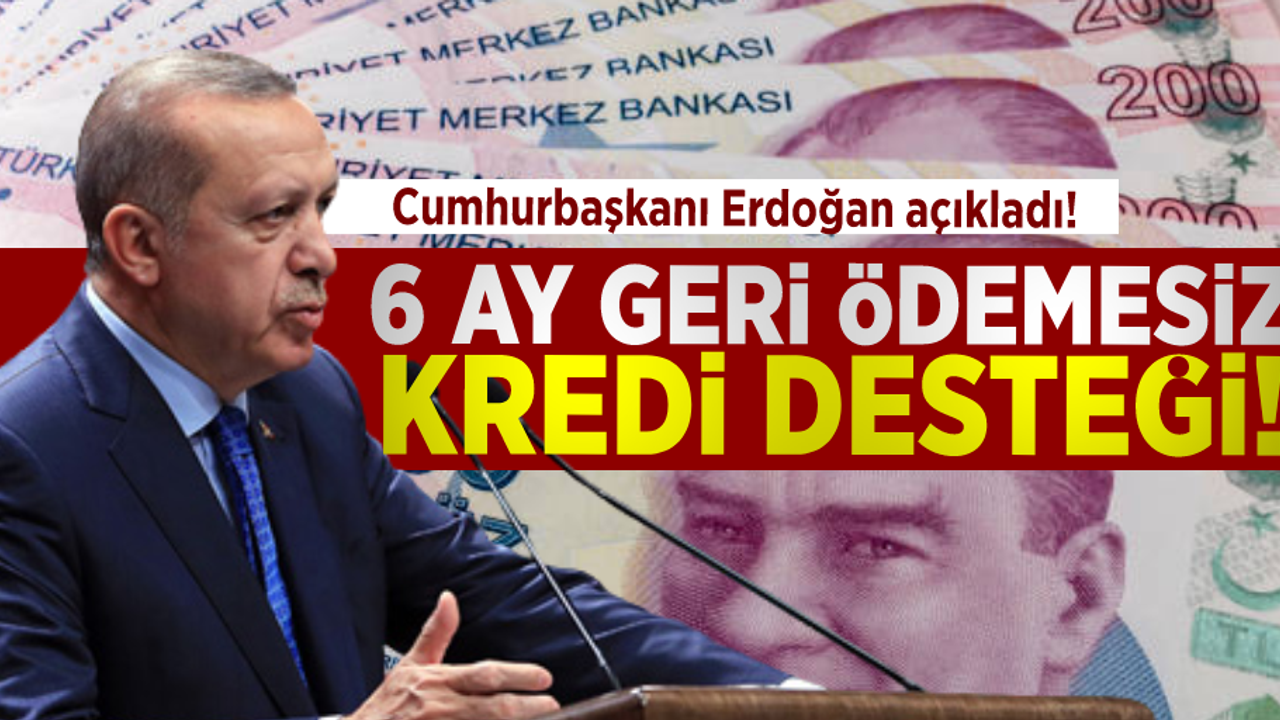 Cumhurbaşkanı Açıkladı! 6 Ay Geri Ödemesiz Kredi Desteği!
