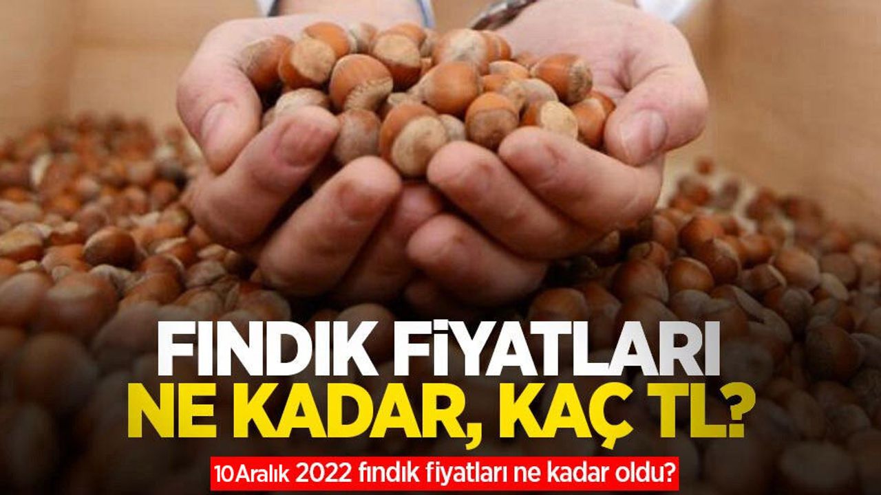 Fındık fiyatları ne kadar, kaç TL? 10 Aralık 2022 fındık fiyatları ne kadar oldu?