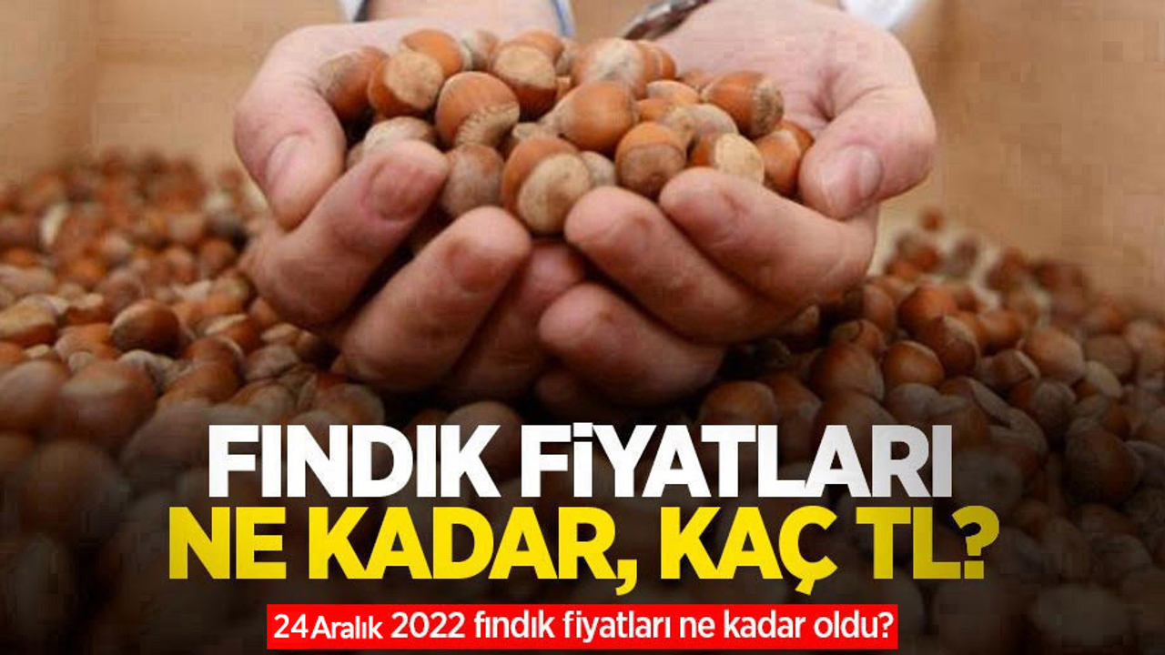 Fındık fiyatları ne kadar, kaç TL? 24 Aralık 2022 fındık fiyatları ne kadar oldu?