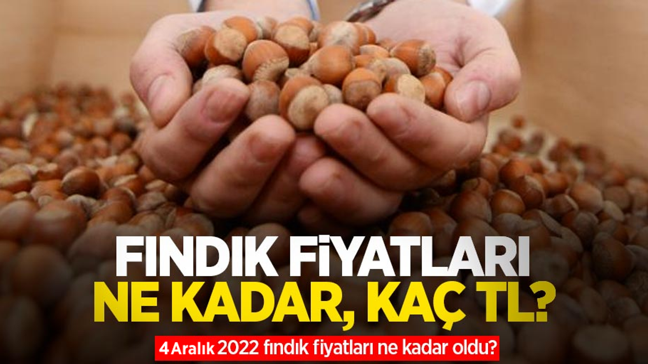 Fındık fiyatları ne kadar, kaç TL? 4 Aralık 2022 fındık fiyatları ne kadar oldu?