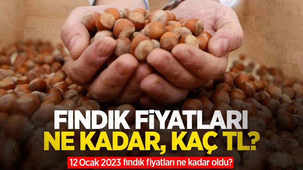 Fındık fiyatları ne kadar, kaç TL? 12 Ocak 2023 fındık fiyatları ne kadar oldu?