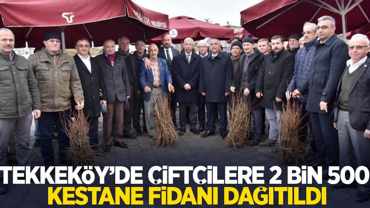 Tekkeköy'de çiftçilere 2 bin 500 kestane fidanı dağıtıldı