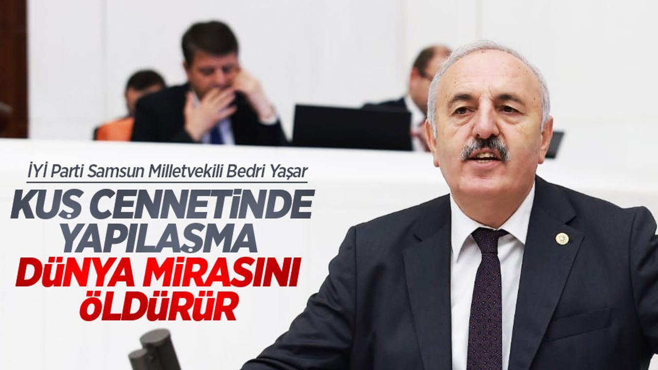 Yaşar, Kuş cennetinde yapılaşma dünya mirasını öldürür