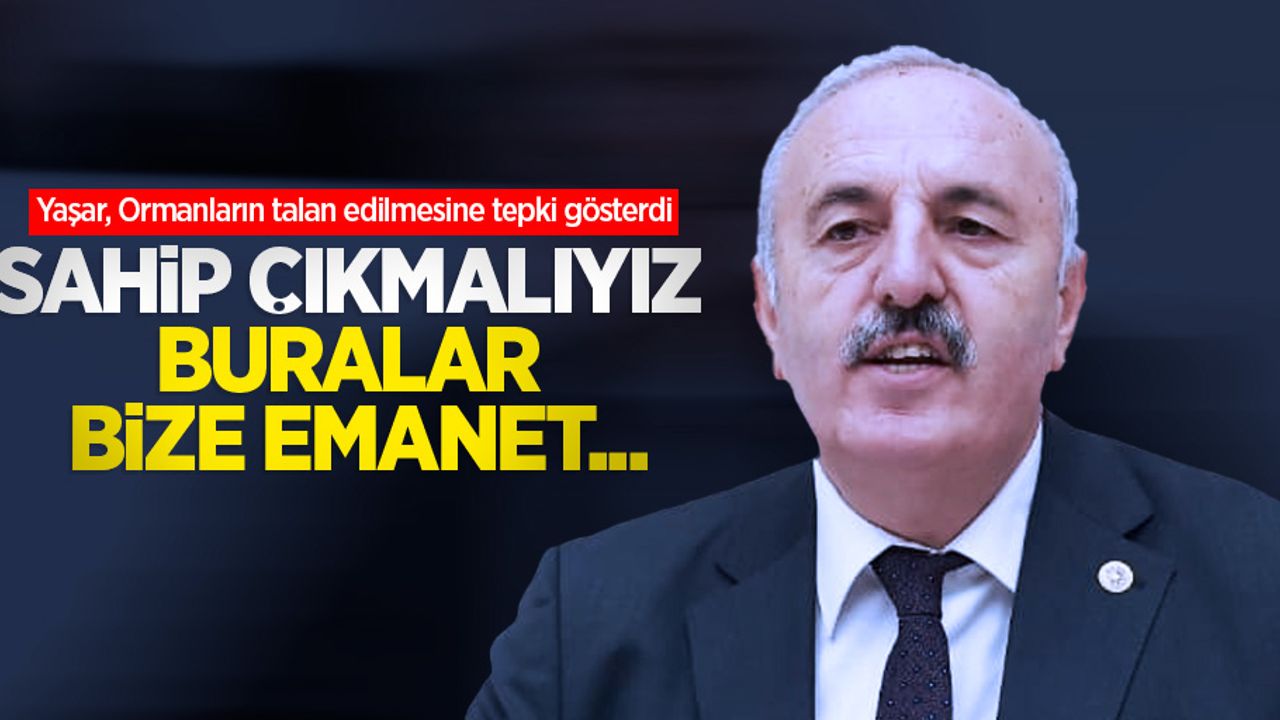 Yaşar, ormanların talan edilmesine tepki gösterdi: Sahip çıkmalıyız, buralar bize emanet…