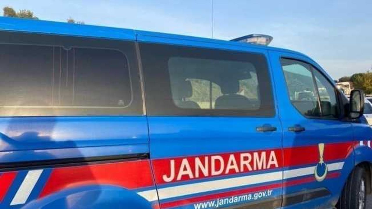 Aydın’da sit alanında kaçak kazı yapan şahıslar suçüstü yakalandı