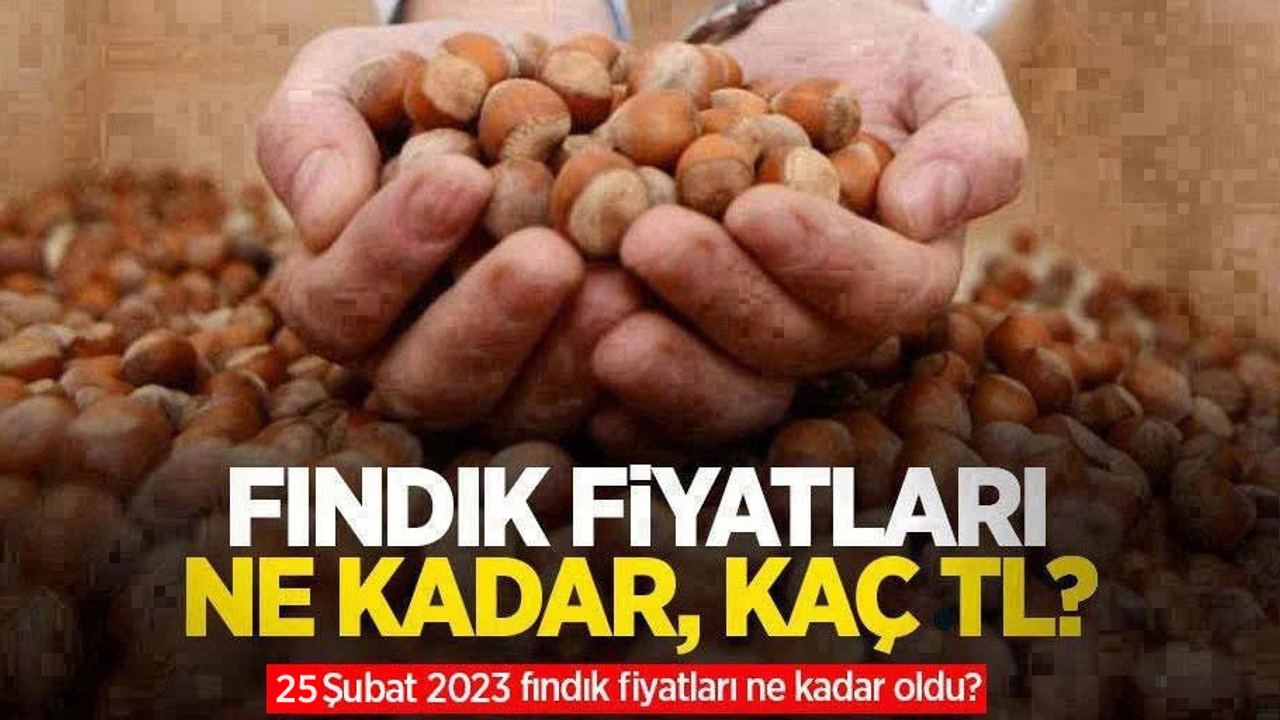 Fındık fiyatları ne kadar, kaç TL? 25 Şubat Cumartesi fındık fiyatları ne kadar oldu?